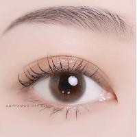 ราคา คอนแทคเลนส์ Mini bom Gray Brown Kitty Kawaii ขนาดมินิ (16975568312)