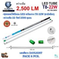 ราคา หลอดไฟนีออนพร้อมราง LED ชุดหลอดไฟ LED พร้อมราง T8 22 วัตต์ หลอดไฟ led แบบยาว โคมไฟ LED ชุดฟลูเซ็ท LED T8 22W IWACHI ขาบิดล็อก แสงสีขาว DAYLIGHT แพ็ค 6 ชุด (7114280144)