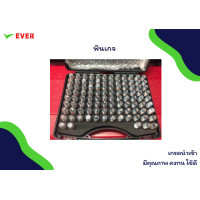 ราคา พินเกจ 1เซ็ตมี 101ชิ้น พร้อมส่ง PIN GAUGE 101PCS MT44A (12515296233)