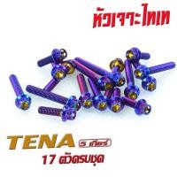 ราคา น็อตเลสชุดแคร้ง เทน่า น็อตชุดแคร้งเครื่อง สแตนเลส สีไทเท รุ่น Tena 17 ตัวครบชุด น็อตเลสแท้ง เทน่า น็อตเลสแต่ง Tena หัวเจาะหัวเฟือง (16541218699)