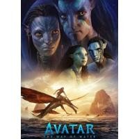 ราคา แผ่น DVD หนังใหม่ Avatar 2 The Way of Water 2022 วิถีแห่งสายน้ำ เสียง ไทย 5 1 อังกฤษ 5 1 ซับ ไทย อังกฤษ หนัง ดีวีดี HotMovie (18894662070)