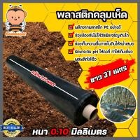 ราคา พลาสติกคลุมเห็ด มี 2 สี สีชาใสและสีดำ หนา 0 04 0 10mm กว้าง 1 4 2m ยาว 27 60m ผ้ายางคลุมเห็ด เห็ดฟาง พลาสติกปลูกเห็ด ผ้ายางปลูกเห็ด เห็ดนางฟ้า (13174853655)