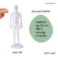ราคา หุ่นจำลองจุดฝังเข็ม ขนาด 52 54 62cm หุ่นจำลองฝังเข็มได้ งานละเอียดพิเศษ Acupuncture Model By Fangkhem (20813476385)