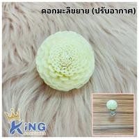 ราคา ขวดแฟชั่น 30 120ml ขวดอโรม่า ขวดใส่ก้านไม้กระจายกลิ่นน้ำหอมปรับอากาศ ก้านไม้ปรับอากาศ ดอกไม้ปรับอากาศ (19297350546)