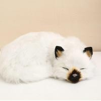 ราคา พร้อมส่งจากไทย ตุ๊กตาแมว ตุ๊กตาหมา น้องแมวเกาะขอบโต๊ะ น้องหมาแมวเหมือนจริง ตุ๊กตา (21055031327)