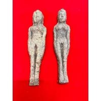 ราคา มักกะลีผล หรือ นารีผล (17448400710)