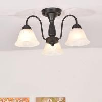 ราคา โคมไฟเพดานสไตล์นอร์ดิก โคมไฟติดเพดานย้อนยุค โคมไฟโต๊ะอาหาร โคมไฟเพดานวินเทจ (19308938081)