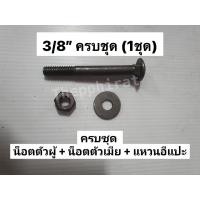 ราคา น็อตเสาไม้ หัวกลม น็อตขันไม้ น็อตขันเสา น็อตหัวกลมคอเหลี่ยม น็อตใส่เสา พร้อมน็อตตัวเมีย แหวนอีแปะ 1 2 4หุล 3 8 3หุน 3หุล 4หุน แบ่งขาย (15852402797)