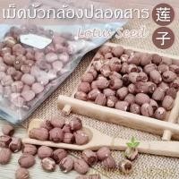 ราคา เม็ดบัว เม็ดบัวกล้อง ปลอดสาร ไม่ขัดสี 100 250 กรัม เม็ดบัวไทย Lotus Seed เมล็ดบัว เมล็ดบัวกล้อง มีดีบัว lian zi 莲子 (19494995252)