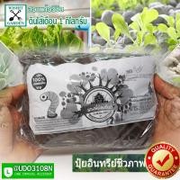 ราคา มูลไส้เดือน 1 กก ปุ๋ยอินทรีปุ๋ยใส่ต้นไม้ สำหรับปลูกผักปลอดสารพิษ ไม่เป็นอันตรายต่อคนสัตว์และสิ่งแวดล้อม (8177050239)