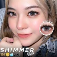 ราคา Bigeye Chimmer Trap Icy X Gray Brown คอนแทคเลนส์ชิมเมอร์แทร็ปไอซี่เอ็กซ์ สีเทา น้ำตาล สายตาปกติ (20124732660)