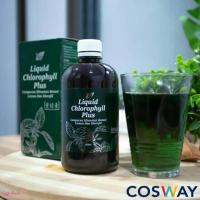 ราคา คลอโรฟิลล์ พลัส Liquid Chlorophyll Plus ชนิดน้ำ 500 มล คลอโรฟิลล์คอสเวย์ ล้างสารพิษ ต้านอนุมูลอิสระ (17423633212)