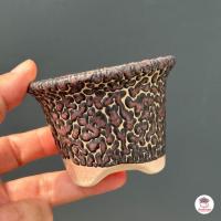 ราคา กระถางดินเผา ลายดินแตก 025 กระถางต้นไม้ ไม้อวบน้ำ กุหลาบหิน cactus succulentหลากหลายสายพันธุ์ (18324217301)