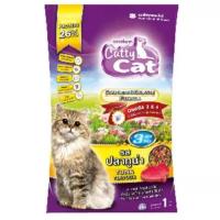 ราคา Catty cat อาหารแมวแคทตี้แคท ขนาด 1 kg สำหรับแมวโตทุกสายพันธุ์ (19579780600)