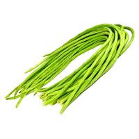 ราคา ถั่วฝักยาว ถั่วพุ่มไร้ค้าง ถั่วพลู ถั่วหลา 20เมล็ด (9662764333)