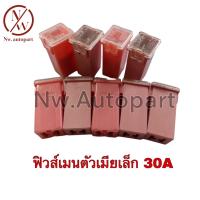 ราคา ฟิวส์เมนตัวเมีย เล็ก 30A (16794464020)