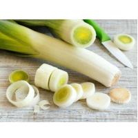 ราคา กระเทียมต้นฝรั่ง กระเทียมต้นยักษ์ 40 100 เมล็ด Leek เมล็ดกระเทียมต้น เมล็ดพันธุ์ ซื้อ 10 แถม 1 คละได้ (17008955572)