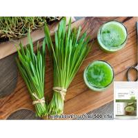 ราคา ผงผักแคล ผงผัก ขายส่ง ผงผัก 9 ชนิด ราคาถูก ออร์แกนิค ราคาส่ง 500 กรัม 1 กิโลกรัม ผงผักโขม ผงบล๊อคโคลี่ ผงต้นอ่อนข้าวบาร์เลย์ ผงฟักทอง ผงแครอท (17048361876)