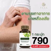 ราคา ส่งฟรี แท้ 100 ขันทองพยาบาท สมุนไพรขันทอง น้ำเหลือง เสีย แก้ ร้อนใน เป็นฝี หนอง สิวอัก เสบ แผล เรื้อ รัง ฝี คัณฑสูตร (15541621480)