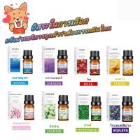 ราคา น้ำมันหอมระเหย100 สารสกัดจากพืชธรรมชาติบริสุทธิ์และดอกไม้10 ml (19428837803)