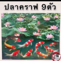 ราคา รูปภาพมงคล ปลาคราฟ กระโดดข้ามซุ้มมังกร ปลา9ตัว เงินทอง สุขภาพ ไหลเวียนดี ขนาดภาพ16x20นิ้ว 40 6x50 8 ซม ปลาคราฟ (14458930583)