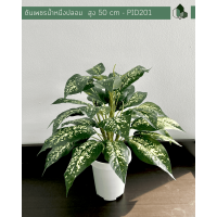 ราคา ต้นไม้ปลอม ต้นไม้ประดิษฐ์ ต้นเพชรน้ำหนึ่งปลอม สูง 50 CM กระถางพลาสติกสีขาว 6 นิ้ว ฐานปูนสีดำ พร้อมส่ง (7488877120)