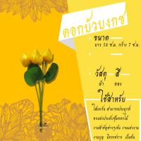 ราคา ดอกบัวตูม บัวบงกชประดิษฐ์ ทำจากผ้า แพค 1 โหล 12 ดอก (14266100613)