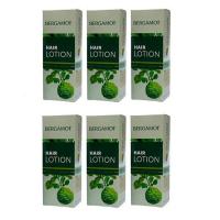 ราคา Bergamot Hair Lotion 90ml เบอกาม็อท แฮร์โลชั่น กล่องเขียว แพ็ค6ชิ้น (116680635)