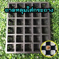 ราคา ถาดหลุมสี่เหลี่ยม 2 นิ้ว 30 หลุม ถาดใส่กระถาง 2 นิ้ว homes (4351206747)