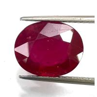 ราคา พลอยทับทิมแท้ Natural Ruby เผาใหม่ 7 00cts 10 30X12 75mm 1400 (19070663562)