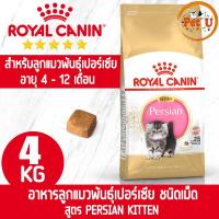 ราคา หมดอายุ2024 Royal Canin PERSIAN KITTEN 4kg อาหารเม็ด สำหรับลูกแมวพันธุ์เปอร์เซีย อายุ 4 12 เดือน (16993655351)