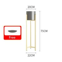 ราคา กระถางต้นไม้ชั้นวางกระถางต้นไม้สีทองกระถางดอกไม้เหล็กดัดสไตล์นอร์ดิกขาตั้งดอกไม้หลายชั้นการตกแต่งที่สร้างสรรค์ (11329400069)