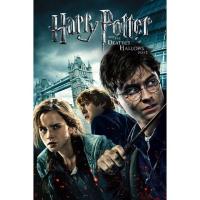 ราคา Harry Potter รวม 8 ภาค DVD Master พากย์ไทย (15010538446)