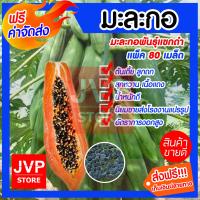 ราคา ส่งฟรี เมล็ดมะละกอพันธุ์แขกดำ มีให้เลือกตั้งแต่แพ็ค 20 100เมล็ด Papaya seeds ปลูกง่าย ต้นเตี้ย ลูกดก สุกหวาน เนื้อแดง น้ำหนักดี (3401840074)