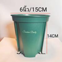 ราคา กระถางทรงสูง สายเขียว กระถางต้นไม้ทรงสูงสีเขียว กระถางต้นไม้พลาสติก กระถางแคคตัส กระถางญี่ปุ่น QS (11080779920)