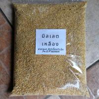 ราคา มิลเล็ต อาหารนก มิลเล็ตเหลือง 1 กิโลกรัม มิลเล็ตเหลือง มิลเล็ต อาหารเสริมนก บำรุงขนและระบบย่อย หงส์หยก ฟอพัส ฟิ้นซ์ เขาเล็ก เขาชวา (10535306886)