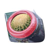 ราคา ครอบไฟตัดหมอก Mitsubishi TRITON 2015 2018 แท้ ครบset 2 ชิ้น 2 ข้าง เคลือบเคฟล่าโทนดำแดง พ่นเคลือบ2k พ่นรถยนต์ภายนอกสวยงามคงทนดูแลง่ายทนรอยขีดข่วน (9128897645)