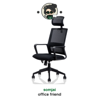 Deli Ergonomic Chair เก้าอี้เพื่อสุขภาพ รุ่น E4503