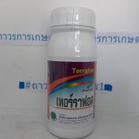 ราคา ปุ๋ยเคมีทราฟอสเคเทอร์ราฟอส 0 30 21 เร่งใบแก่1เปิดตาดอกป้องกันโรคต้นเน่า 500ซีซี (13107709404)