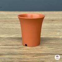 ราคา 10 ใบ กระถาง 2 นิ้ว ปากแตรจิ๋ว กระถางพลาสติก แคคตัส กระบองเพชร ไม้อวบน้ำ Cactus Succulent (6279092270)