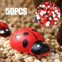 ราคา Mayitr 50ชิ้นไม้ขนาดเล็กเต่าทองด้วงตุ๊กตานางฟ้าสวนหม้อตกแต่ง (4870702706)