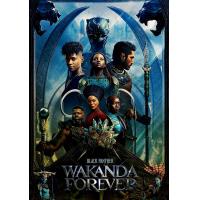 ราคา Black Panther แบล็ค แพนเธอร์ 1 2 DVD Master พากย์ไทย (17487464277)