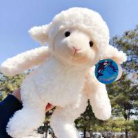 ราคา Hot 30cm Alpaca Plush Sheep unicorn bear Toy Japanese Soft Plush Alpacasso Baby Plush Stuffed Animals Gifts for kids (11770433448)