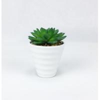 ราคา ต้นไม้ปลอมมินิมอล กระถางแคคตัสปลอม ตกแต่งโต๊ะทำงาน (3216414941)