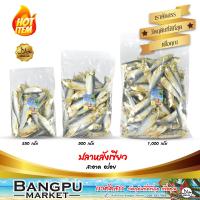 ราคา ปลาหลังเขียวแห้ง ถอดเกล็ด ปลาแดดเดียว ไร้เกล็ด ตากแห้ง ขนาดปานกลาง ปลาหลังเขียวเค็ม ปลาเค็มไม่มีเกร็ด ปลากุแลตากแห้ง ปลาหลังเขียวแดดเดียว ปลาทะเลตากแห้ง ปลาหลังเขียวแดดเดียว ปลากุแลดิบ Dried greenback
