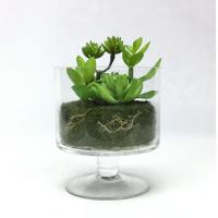ราคา ต้นไม้ปลอมมินิมอล สวนขวดแก้ว สวนโหลแก้ว Artificial terrarium (17378914762)
