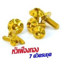 ราคา น็อตชุดสี PCX150 น็อตชุดสีสแตนเลส รุ่น PCX 150 ปี 2012 2017 1ชุดมีทั้งหมด 7 ตัวครบชุด น็อตเลสแต่ง พีซีเอ็กอะไหล่แต่ง PCX น็อตเฟรม PCX (16138391871)