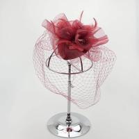 ราคา กิ๊ปขนนก ตาข่าย กิ๊ฟหนีบผม กิ๊ฟติดผมแฟชั่น (862590970)