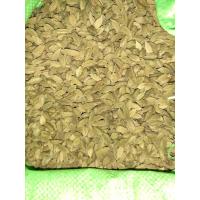 ราคา GREEN CARDAMOM ELAICHI กระวาน 25g (11851833953)
