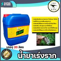 ราคา น้ำยาเร่งราก ทีเร็กซ์ มีให้เลือก 5 ขนาด น้ำยาแตกราก เร่งแตกราก เร่งรากกิ่งตอน สารเร่งราก ยาเร่งราก (15487590720)